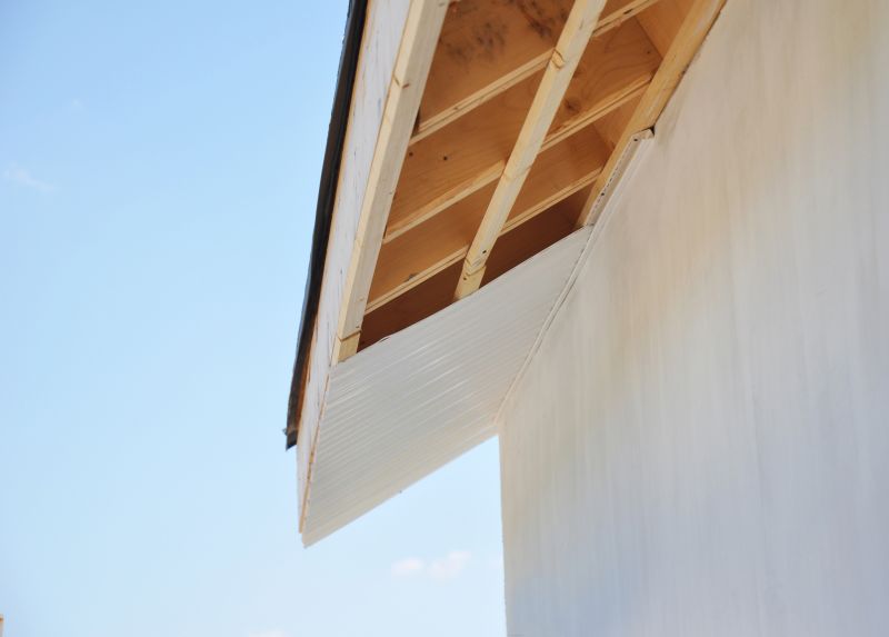 Fascia Replacement in Conroe, TX